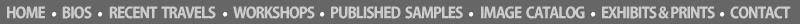 navigation bar